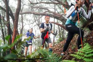 BIB: 
                            <button type="button" onclick="openModal(26298703)" class="btn btn-primary btn-sm float-right btn-popup" data-toggle="modal" data-target=".modal-high-quality">
                        <i class="fas fa-shopping-cart"></i> Add to Cart
                    </button>
                                            <button type="button" onclick="isThisMe(26298703, true)" class="btn btn-success btn-sm float-right btn-popup btn-isme hidden" data-toggle="tooltip" data-placement="bottom" title="นี่คือรูปของคุณใช่ไหม คลิกที่นี่เพื่อเอาเข้าอัลบั้ม">
                        <i class="fas fa-plus"></i> Add to album
                    </button>
                    <button type="button" onclick="isThisMe(26298703, false)" class="btn btn-warning btn-sm float-right btn-popup btn-isnotme hidden">
                        <i class="fas fa-ban"></i> Remove from album
                    </button>